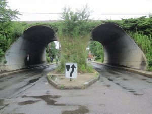 bike tour