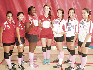 volleyball_fundraiser_web