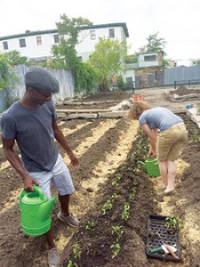 There is a little bit of farmer in all of us, and now we can prove it as urban agriculture initiatives are taking root in the city.