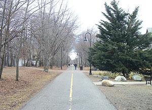 community path