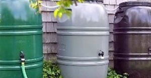 rain barrel