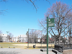 Many in the community feel that natural grass is the best way to go for the playing fields of Lincoln Park, while artificial turf proponents continue to press their case. ~Photo by Bobbie Toner