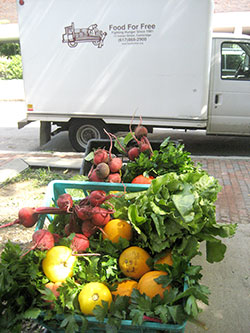 Food For Free helps residents in need by gathering surplus food and distributing it where it is most needed.