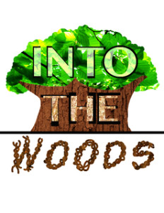 Somerville High School’s production of Stephen Sondheim’s Into the Woods will be performed on February 4, 5, and 6 at the Somerville High School Auditorium. ~Logo design by Dylan Alvarado 
