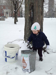 The annual Maple Syrup Boil Down Festival will be taking place at the Growing Center, 22 Vinal Ave. in Somerville on March 12 from 10 a.m. to 2 p.m.