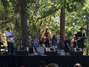 The cool shade of Powderhouse Park (a.k.a Nathan Tufts Park) served as the perfect venue for Joe’s Jazz and Blues Fest 2016.