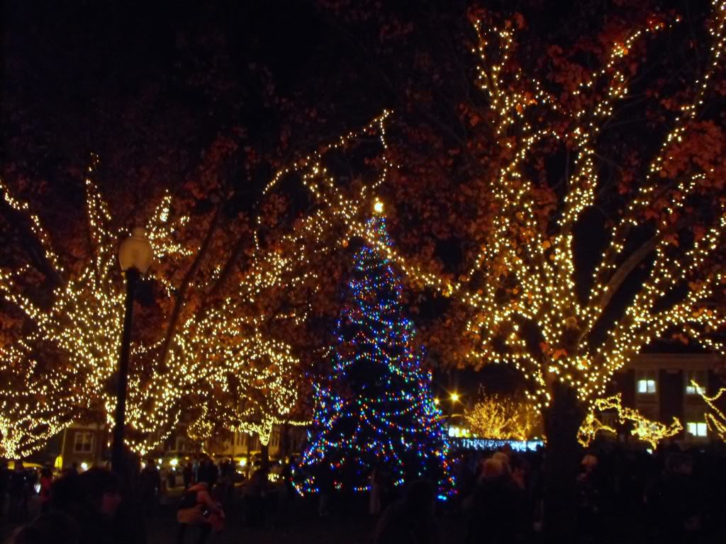 Celebrate the holidays in Somerville with Christmas Tree Lighting, Menorah Lighting and